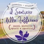 Il sentiero dello zafferano - Croco e Smilace