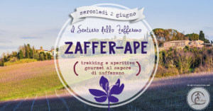 Zaffer-Ape